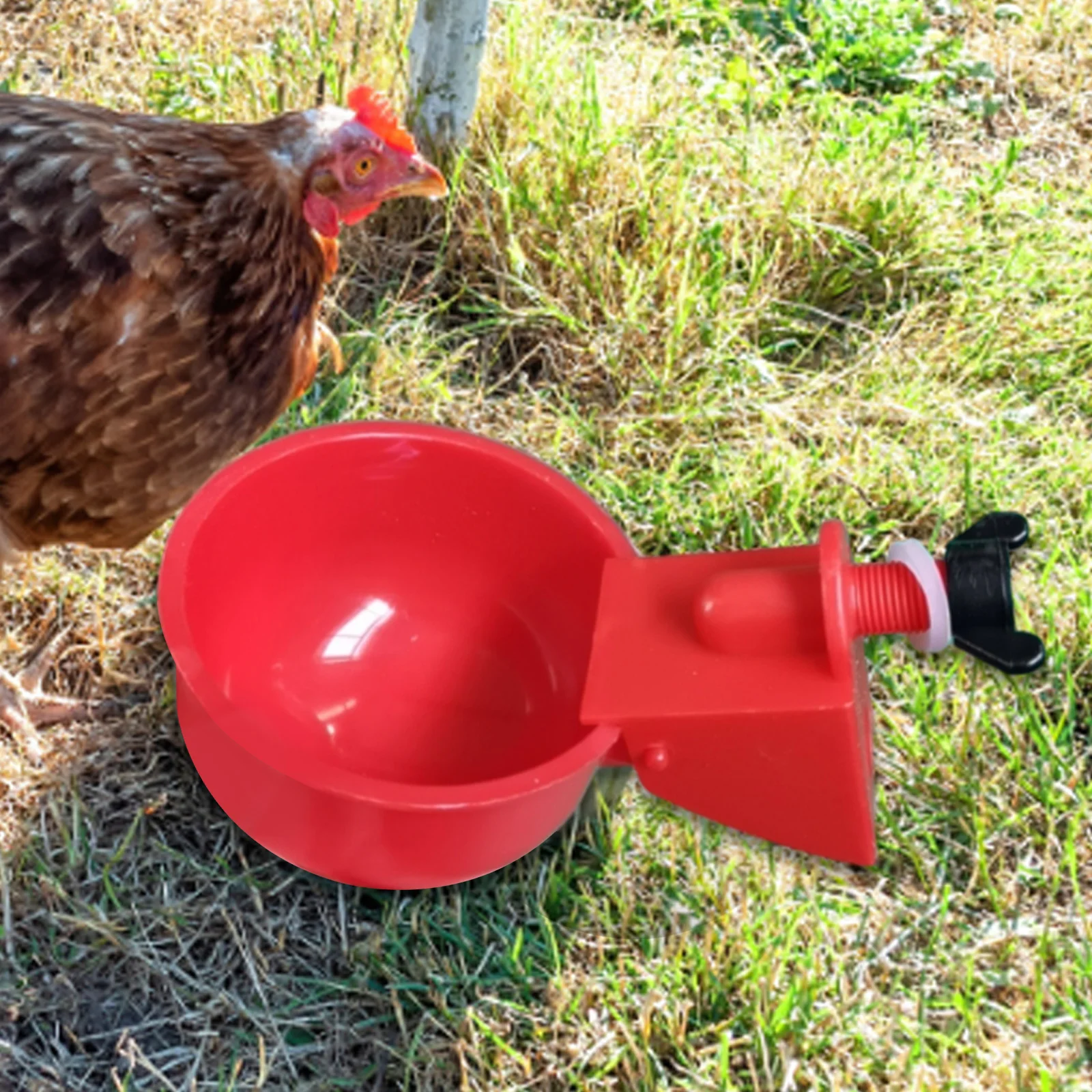 6шт Поилка для домашней птицы, Автоматический Набор чашек для поения цыплят, Поилка для сельскохозяйственных животных, Аксессуары для курятника - 1